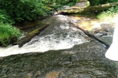 roztocze_zielona_2018_2019_f5_508