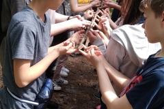 roztocze_zielona_2018_2019_f5_524