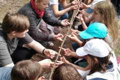 roztocze_zielona_2018_2019_f5_525