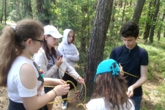 roztocze_zielona_2018_2019_f5_526