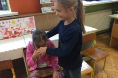 pie_pomoc_2019_2020_4_Fvv05