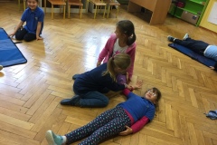 pie_pomoc_2019_2020_4_Fvv08