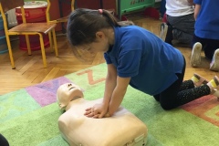 pie_pomoc_2019_2020_4_Fvv11