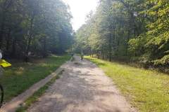 rajd_2019_2020-e44_gb0115