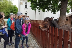 las_bielanski_2021_2021_gh17