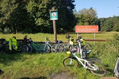 119225410_661999621118732_4677365466155929187_n