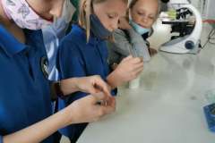 242549776_833229180700849_4891414297140861112_n