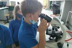 242549786_980110939214965_7790898607719178158_n