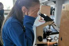 242557415_394512002390304_957583953739340021_n