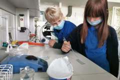 242569572_1525436487790236_2428570420861939567_n