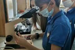 242577383_2049489055198199_1373591601580911565_n