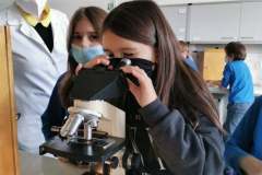 242582302_1026035421563651_562252156278651565_n