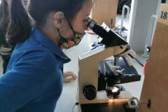 242585612_254725196659333_2159574268511059246_n