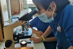 242603373_556291838920275_2566080458202226765_n