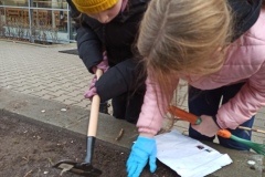 IMG_20211117_144432_1