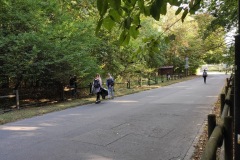 2022_23_1sprzatanie-14