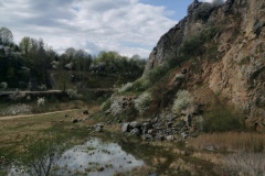 qrf