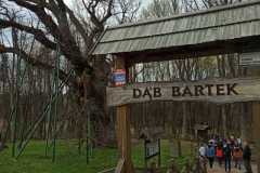 k_dab-bartek-6