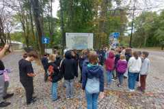 Modlin-31