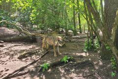 2023_24-Zielona-szkola-4-8-052