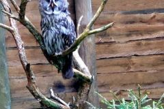 2023_24-Zielona-szkola-4-8-054