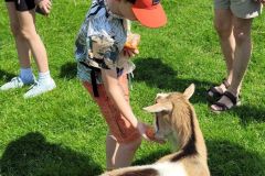 2023_24-Zielona-szkola-4-8-056