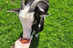 2023_24-Zielona-szkola-4-8-058