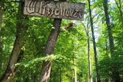 2023_24-Zielona-szkola-4-8-098