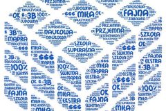 prace_dz_kl3_2024_2555