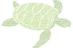 prace_dz_kl3_2024_2573