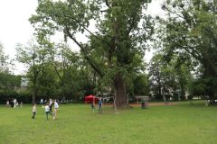 festyn_24_25_055
