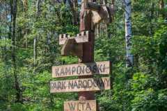 Zdjecie-WhatsApp-2024-10-06-o-21.01.11_8e2cd62f