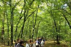 Zdjecie-WhatsApp-2024-10-07-o-14.47.11_1b7c2da0