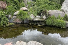 powsin_2026_05_p6