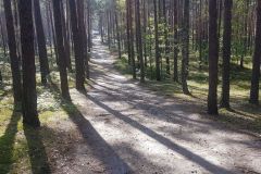 120406678_1658303781017763_8109109214724624650_n