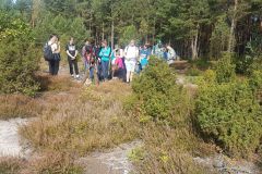 120415960_1075003589600844_4180008048204521160_n