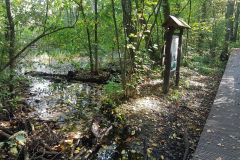 120451277_362629941526341_4533433632283616846_n