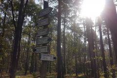 120459806_1473865446142949_9012978143327412096_n