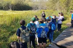 120465100_1539096689631096_7394655944723085044_n