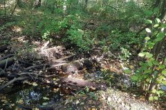 120475769_388597969213898_1393320418958339526_n