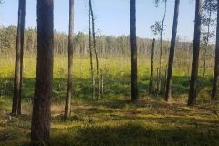 120536867_620525418829176_5239573495075610720_n