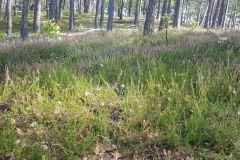 120573771_359879785063162_1522629315701373687_n