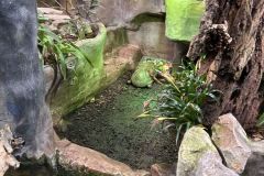 fesiwal_6a_zoo_26_27_005