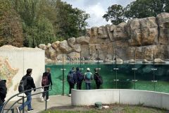 fesiwal_6a_zoo_26_27_007