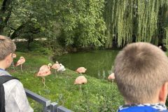 fesiwal_6a_zoo_26_27_008